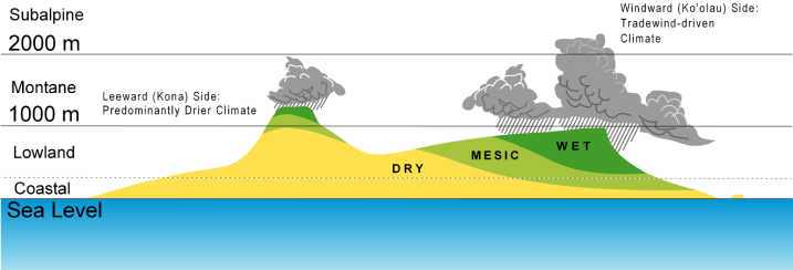 elevation and moisture settings of O'ahu