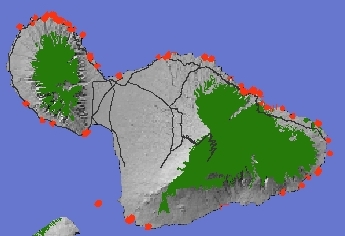 Coastal Vegetation on Maui