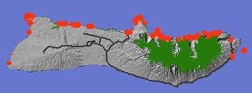 Coastal Vegetation on  Moloka'i