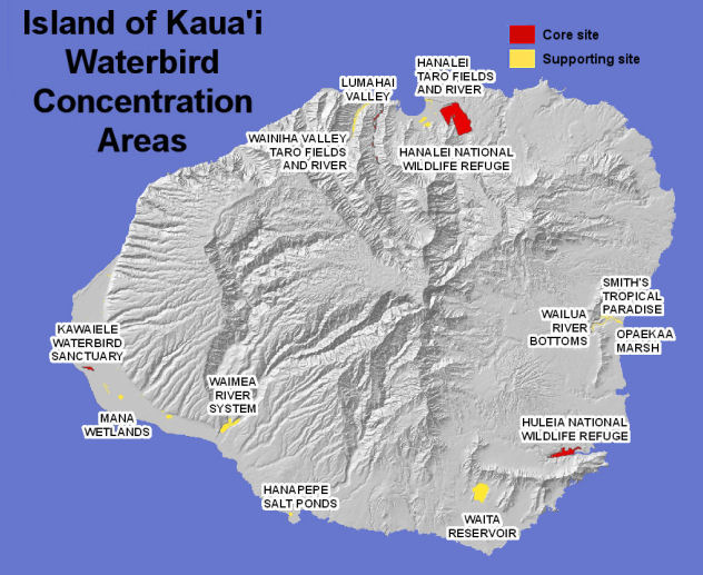 WBC Kauai