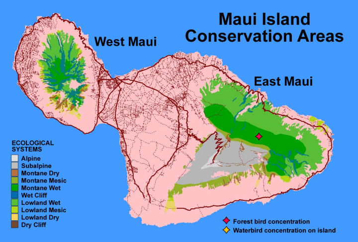 East Maui Conservation Area Ecological Systems
