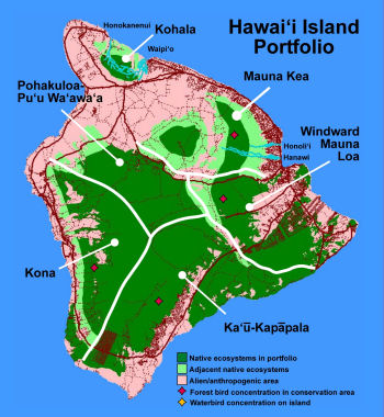Hawaii Island selected streams