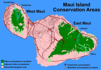 Selected streams of Maui